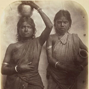 Untitled (Ceylon), 1875 / 79. Creator: Julia Margaret Cameron
