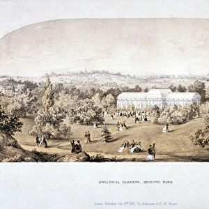 View of the Botanical Gardens in Regents Park, Marylebone, London, 1851