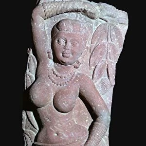 A yakshi (tree-goddess) from a Jain Stupa, 2nd century