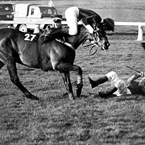 Prince Charles falling from a horse at Cheltenham, 1981