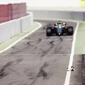 F1 Formula 1 Formula One Test Testing Atmosphere