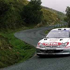 FIA World Rally Championship: Cedric Robert, Peugeot 206 WRC, on Stage 12