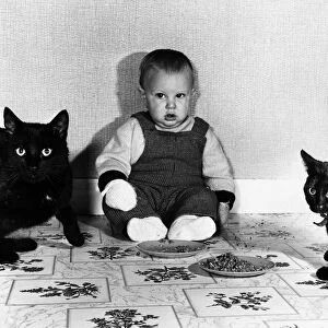 Baby Luke Pate with his cat Rhubarb (left) and Custard - wearing mits as he is allergic