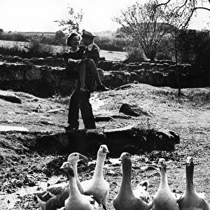 The bride and groom disturbed the geese on the village green when Lieut Charles Henry
