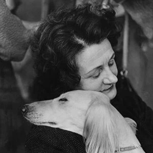 Crufts Dog Show Asleep together by the ring Mrs. Gilda Bunn and her Salukis dog