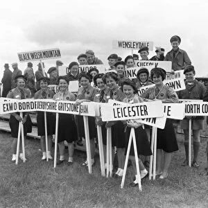 Girl Guides and Scouts holding their home town signposts at the opening of The Royal