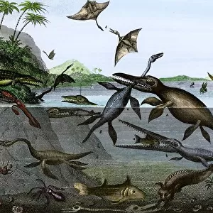 Dinosaurs of the sea, land, and air during the Age of Reptiles, a 19th-century depiction. Hand-colored engraving