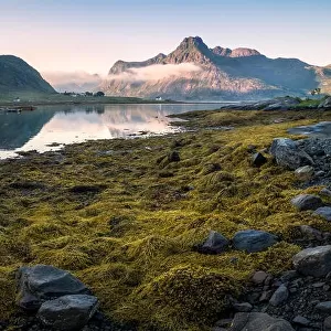 Low tide at peaceful summer evening in Lofoten, Norway