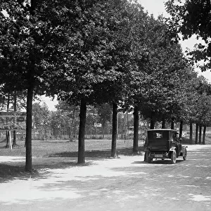 Car stopped on a tree-lined road in Padua