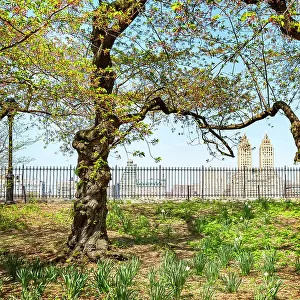 New York City, Manhattan, Jacqueline Kennedy Onassis Reservoir track, El Dorado Apartments building in the background
