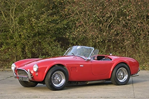 ac cobra 289
