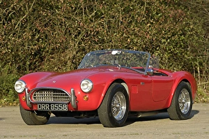 ac cobra 289