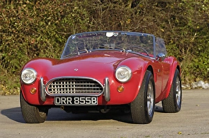 ac cobra 289