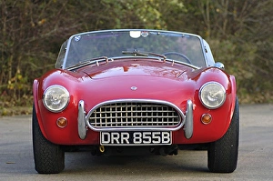 ac cobra 289