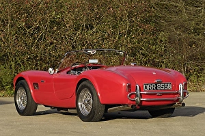 ac cobra 289