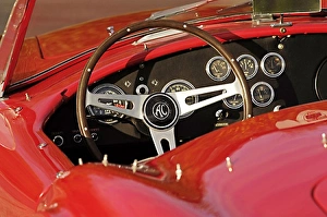 ac cobra 289