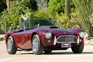 ac cobra 289
