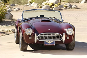ac cobra 289