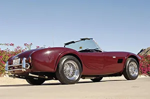 ac cobra 289