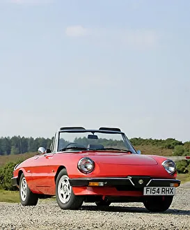 Alfa Romeo Indianapolois 500 Racecar