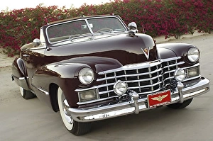 Cadillac 62 Series Convertible