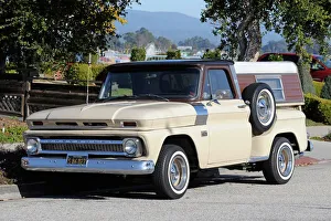 American Motors Co