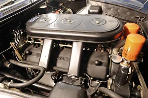 Ferrari 365 GT Italy