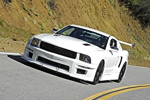 Ford Galpin Auto Sports Mustang 302 Snowflake Ford Galpin Auto Sports Mustang 302 Snowflake