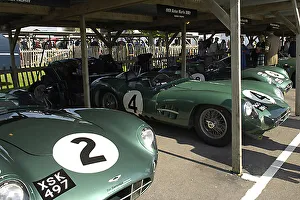 Goodwood Revival Classic racing cars
