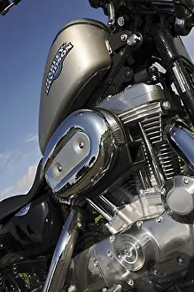 Harley Davidson 883 Sportster