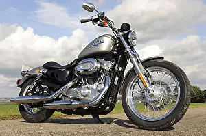 Harley Davidson 883 Sportster