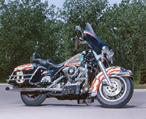 Harley Davidson Customised Police Special FLHTP