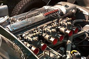 Jaguar D-Type Britain