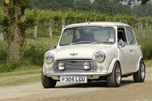 Mini Britain British
