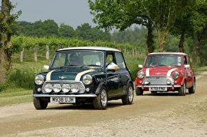 Mini British Britain