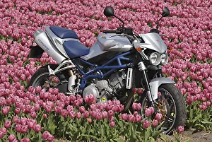 Motor Morini Corsaro Avio 1200 Motor Morini Corsaro Avio 1200