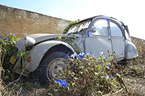 Citroen 2CV