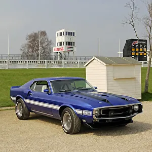 Shelby GT350 Mustang