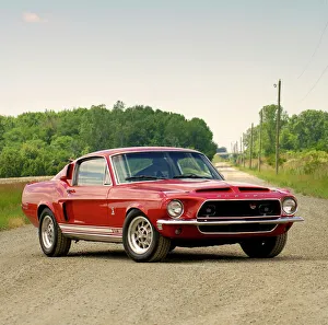 Shelby GT350 Mustang