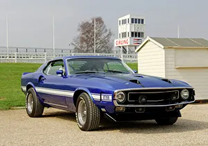 Shelby GT350 Mustang