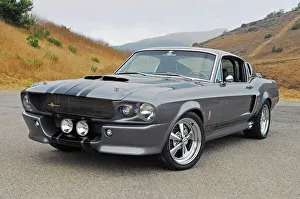 Shelby Mustang GT500E Eleanor