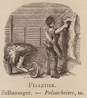 Le Vocabulaire Illustre: Pelletier; Fellmonger; Pelzarbeiter (engraving)